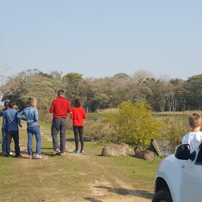 Excursión full day al Parque Nacional Esteros del Ibera 